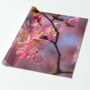 Papier Cadeau Sakura cool Fleurs Sur Un Cerisier