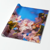 Papier Cadeau Sakura En Rose Et Bleu (Déroulé)