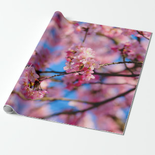 Papier Cadeau Sakura Rose Extraordinaire Et Ciel Bleu