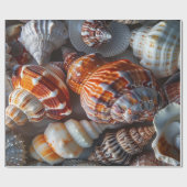 Papier Cadeau Sally Vend Coquillages (Plat)