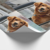 Papier Cadeau Salut (Coin)