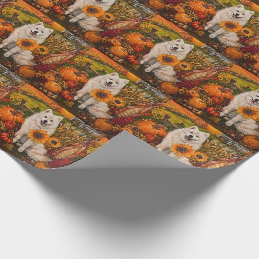 Papier Cadeau Samoyé Chien Moisson Automne Thanksgiving (Coin)