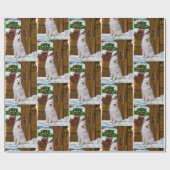 Papier Cadeau Samoyé sur Noël de la Porche (Plat)