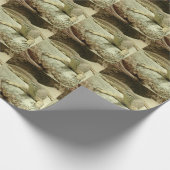 Papier Cadeau Sand goanna (Coin)