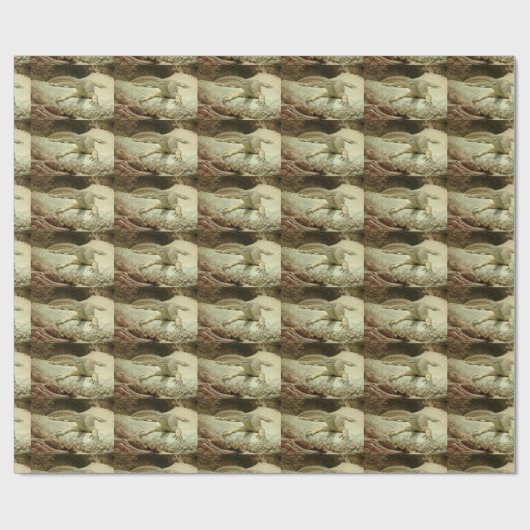 Papier Cadeau Sand goanna (Plat)