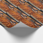 Papier Cadeau Saucisses (Coin)