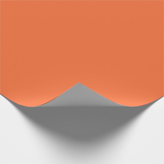 Papier Cadeau Saumon (Coin)