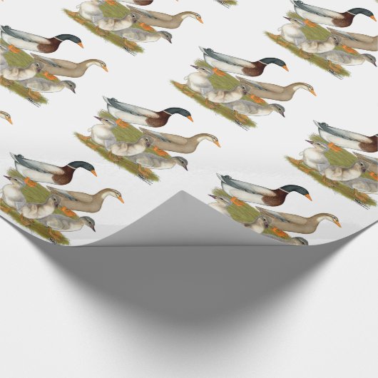 Papier Cadeau Saxony (Coin)