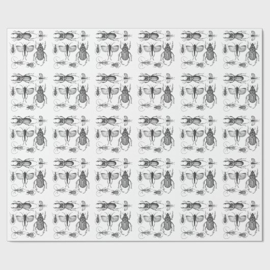 Papier Cadeau Scarabées et insectes (Plat)
