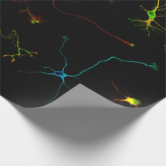 Papier Cadeau science (Coin)