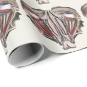 Papier Cadeau Science de l'anatomie humaine vintage, yeux (Coin rond)