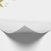 Papier Cadeau Scintillement (Coin)