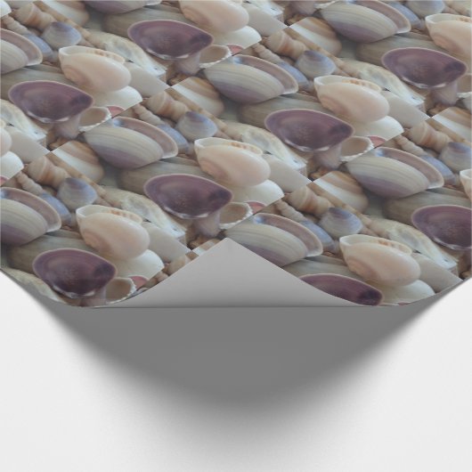 Papier Cadeau Sea Shells, Summer Beach Exotic Troptic Romantic (Coin)