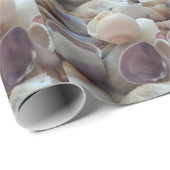Papier Cadeau Sea Shells, Summer Beach Exotic Troptic Romantic (Coin rond)