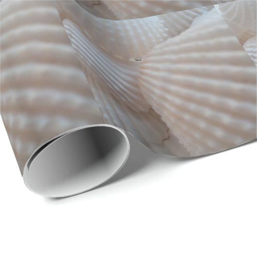 Papier Cadeau Sea Shells, Summer Beach Exotic Troptic Romantic (Coin rond)
