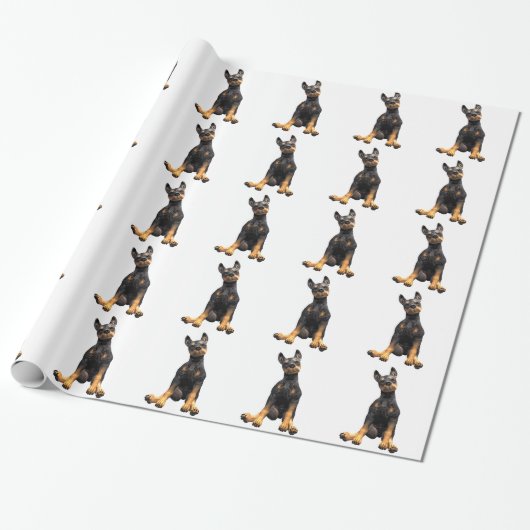 Papier Cadeau Séance de chiot de Pinscher de dobermann (Déroulé)