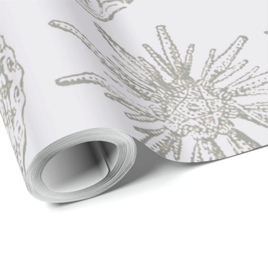 Papier Cadeau Seashell Soft Antique Art Beach Shops (Coin rond)