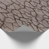 Papier Cadeau Séché (Coin)