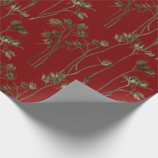 Papier Cadeau Seed Pods on a Wrapping Paper Roll (Coin)