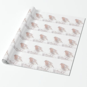 Papier Cadeau Séjour, peu de Robin gai !