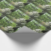 Papier Cadeau Sentier des Appalaches, Virginie (Coin)