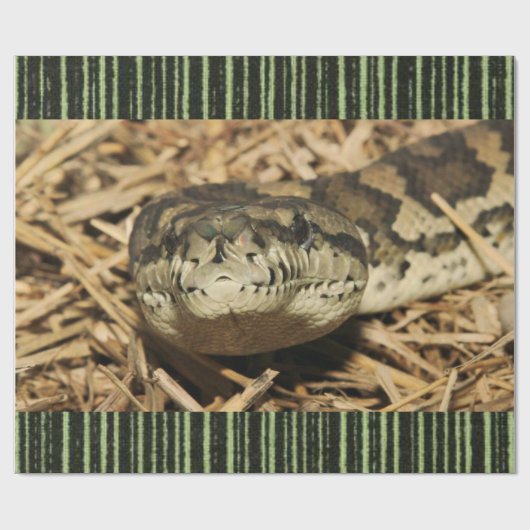 Papier Cadeau Serpent de papier à envelopper brillant (Plat)