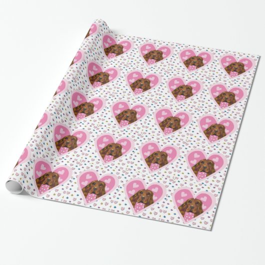 PAPIER CADEAU SETTER IRLANDAIS (Déroulé)