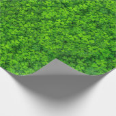 Papier Cadeau Shamrock (Coin)