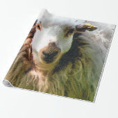 PAPIER CADEAU SHEEP (Déroulé)