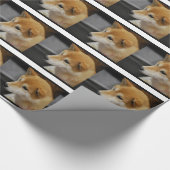 Papier Cadeau Shiba Inu (Coin)