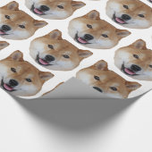 Papier Cadeau shibe.png (Coin)