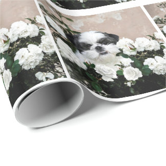 Papier Cadeau Shih Tzu et roses