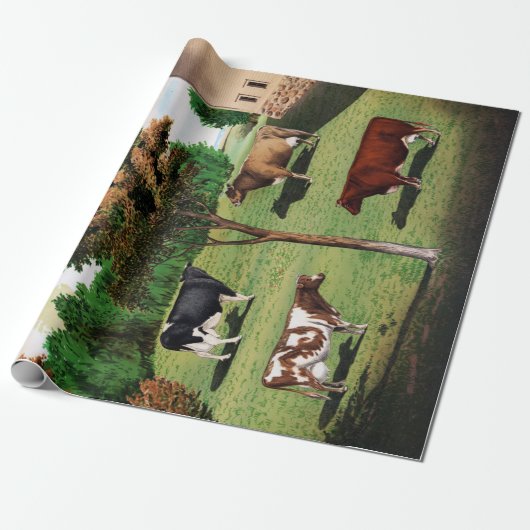 Papier Cadeau Shorthorn typique du Holstein Jersey de vaches à (Déroulé)