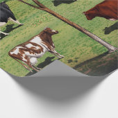 Papier Cadeau Shorthorn typique du Holstein Jersey de vaches à (Coin)