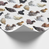 Papier Cadeau Silkie Bantam Chickens (Coin)