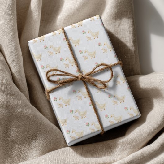 Papier Cadeau Silly Goose