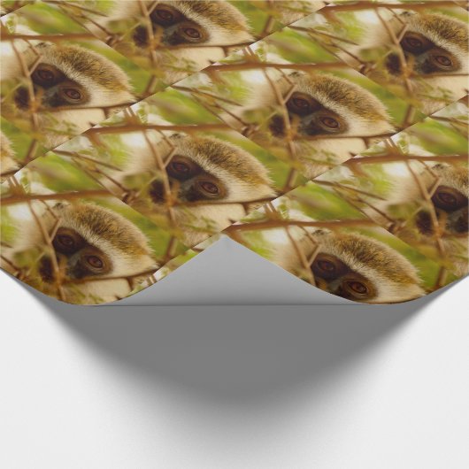 Papier Cadeau Singe Cheeky. (Coin)