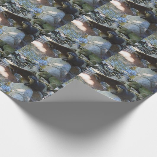 Papier Cadeau **"Sips by the Stream : Otters Drinking from River (Coin)
