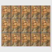 Papier Cadeau sirènes (Plat)