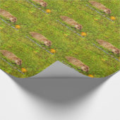 Papier Cadeau Six semaines de moins de papier d'emballage d'hive (Coin)