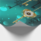 Papier Cadeau Skeleton Keys on Green Background (Coin)