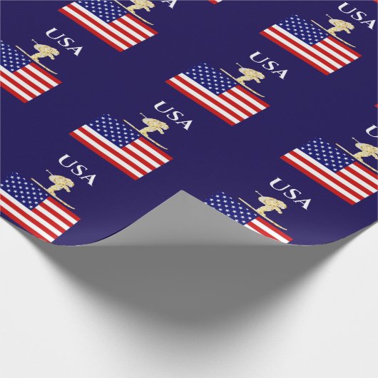 PAPIER CADEAU SKIER (Coin)