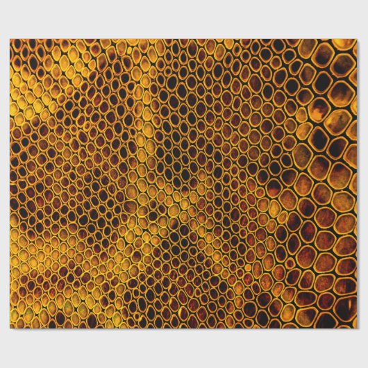 Papier Cadeau Snake skin background (Plat)