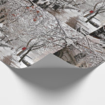 Snow Magic sur le 23ème St NYC
