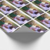 Papier Cadeau Snow Village -Terrarium Photo - (Coin)