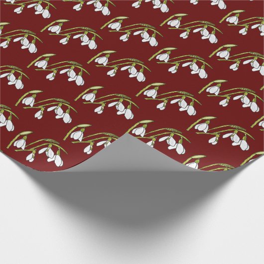 Papier Cadeau Snowdrops (Coin)