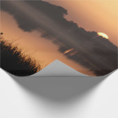 Papier Cadeau Soleil (Coin)
