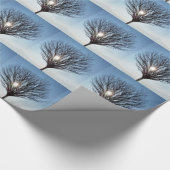 Papier Cadeau soleil d'hiver (Coin)