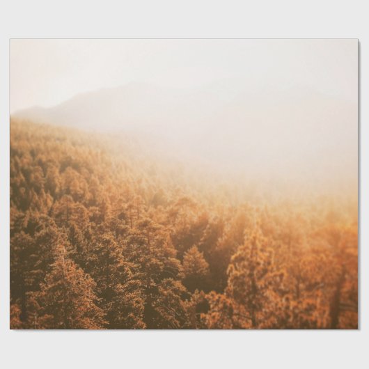 PAPIER CADEAU SOLEIL D'OR SUR UNE FORÊT (Plat)