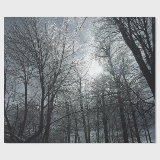 Papier Cadeau Soleil sur les arbres couverts de glace (Plat)